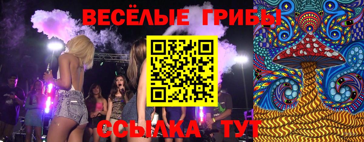 Псилоцибиновые грибы мухоморы  цены   Казань  Вход с VPN 